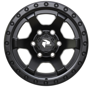 TRW SHOCK Satin Black (1)