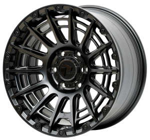 SAVAGE - 1885 TOUGH BLACK (3)